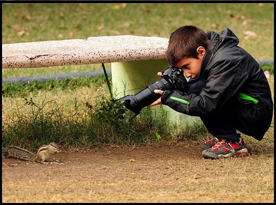 Detail Hasil Fotografi Keren Nomer 19