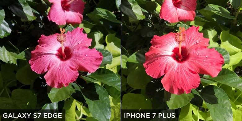 Detail Hasil Gambar Iphone 7 Plus Nomer 19