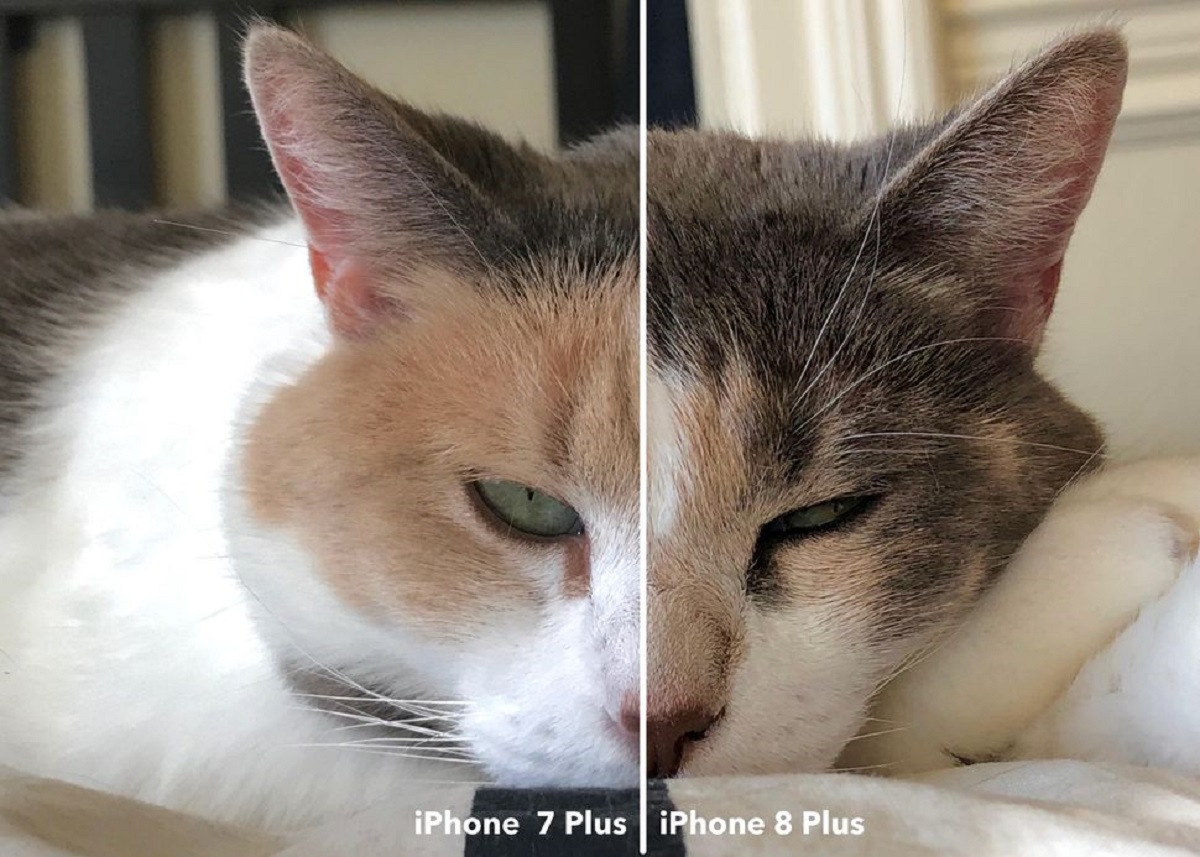 Detail Hasil Gambar Iphone 7 Plus Nomer 48