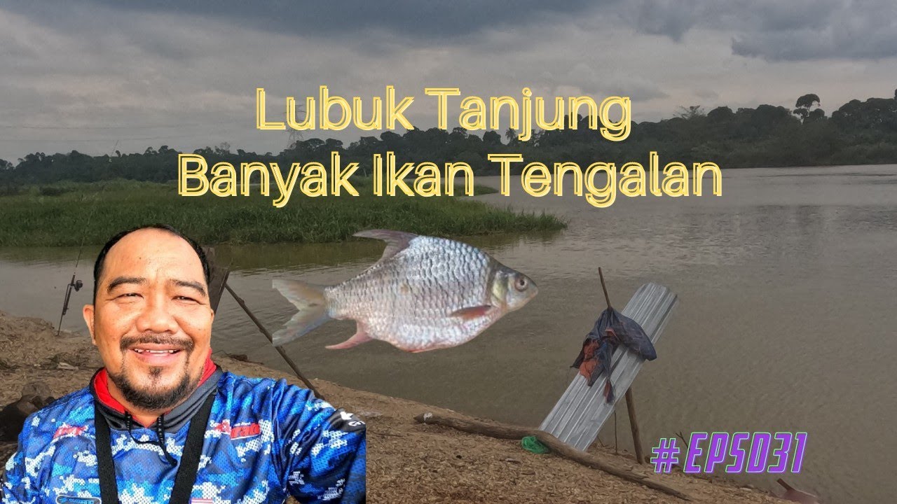 Detail Hasil Mancing Di Sungai Nomer 22