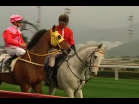 Hasil Pacuan Kuda Hongkong Hari Ini - KibrisPDR