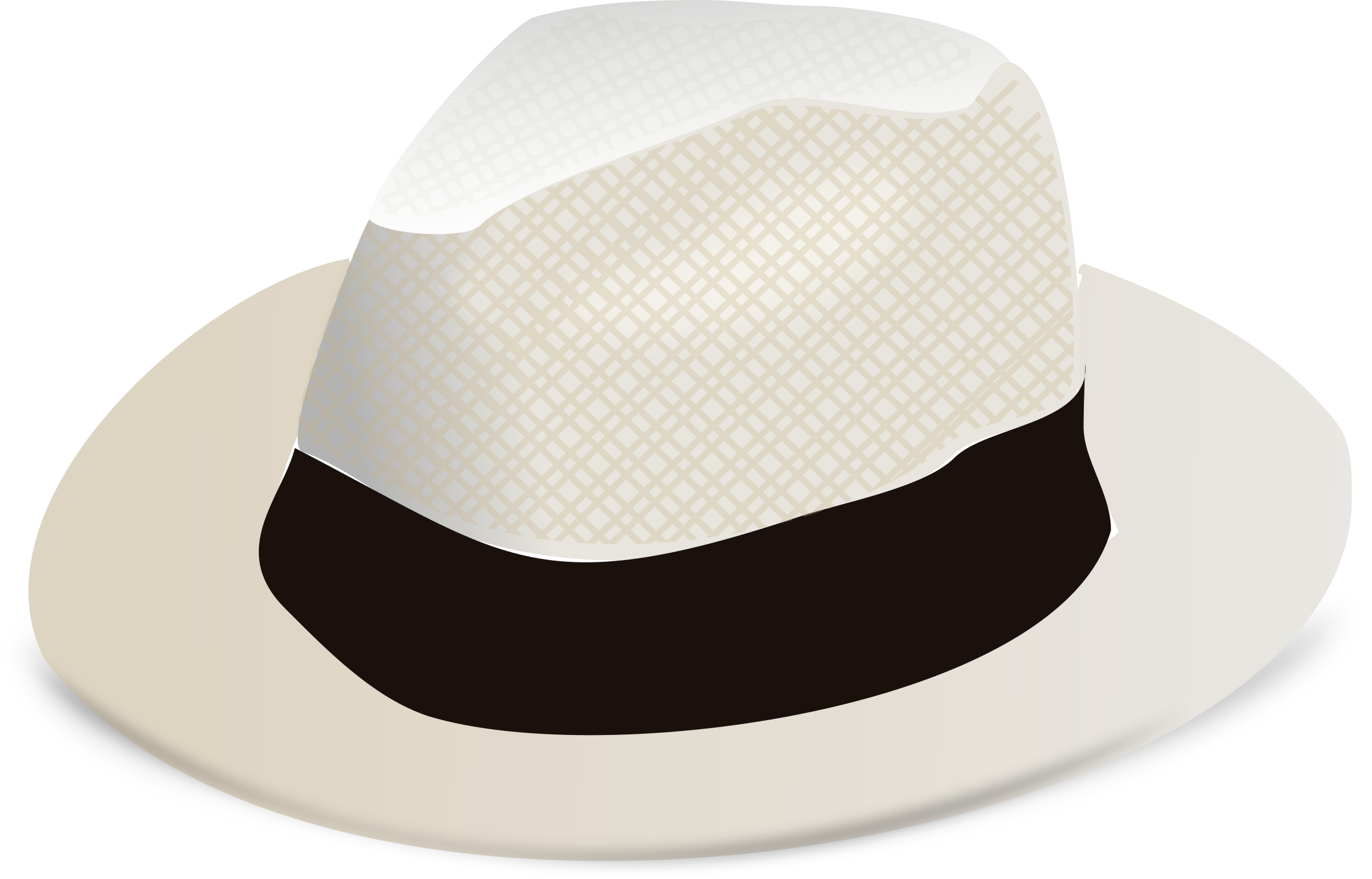 Detail Hat Png Transparent Nomer 15