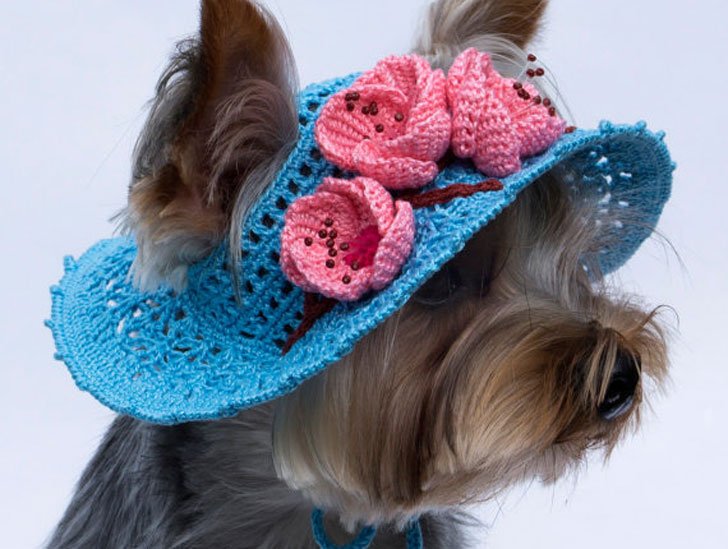 Detail Hats For Dogs With Ear Holes Nomer 30