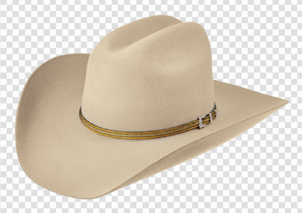 Detail Hats Transparent Background Nomer 37