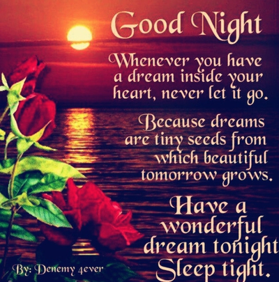 Detail Have A Good Night Quotes Nomer 47