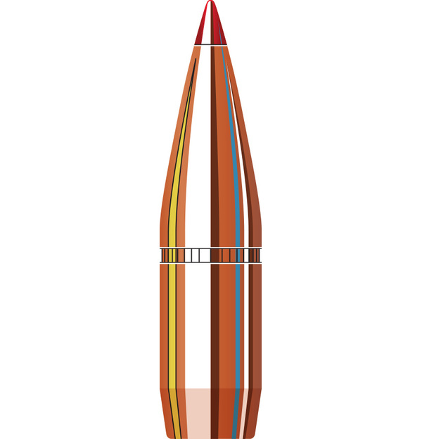 Detail 338 Lapua Magnum Hornady Nomer 19