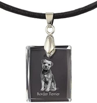 Detail Border Terrier Schwarz Nomer 19