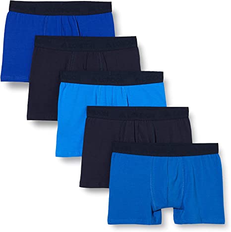 Detail Boxer Blaues Auge Nomer 14