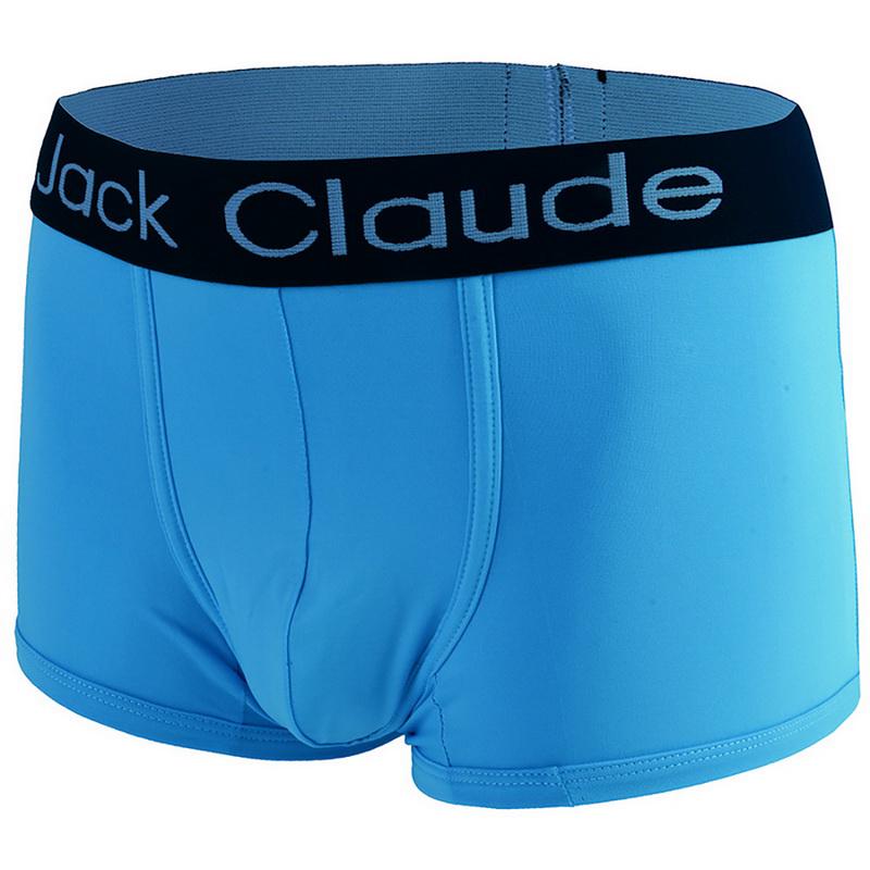 Detail Boxer Blaues Auge Nomer 18