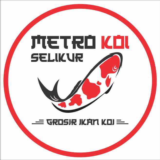 Detail Desain Ikan Koi Nomer 50