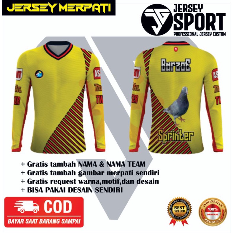 Detail Desain Jersey Merpati Nomer 49