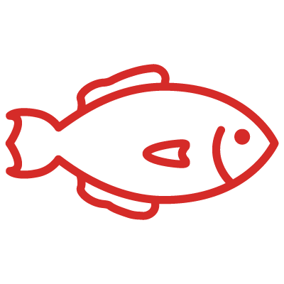 Detail Fisch Bilder Nomer 14