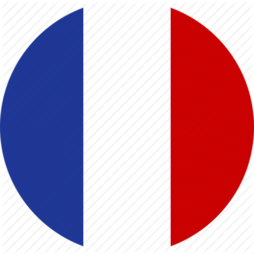 Detail Flagge Paris Nomer 25