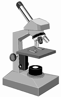 Mikroskop Arbeitsblatt - KibrisPDR