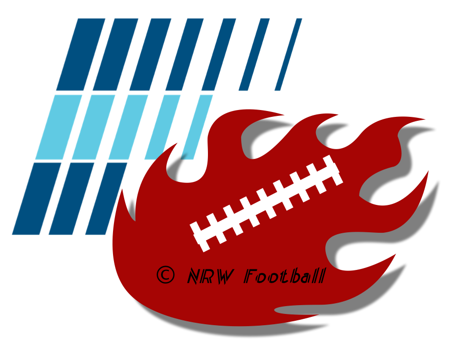 Detail Nfl Ligasystem Nomer 6