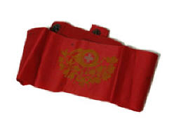 Detail Rote Armbinde Nomer 20