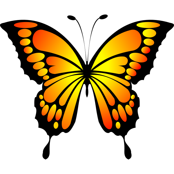 Detail Schmetterling Clipart Kostenlos Nomer 13