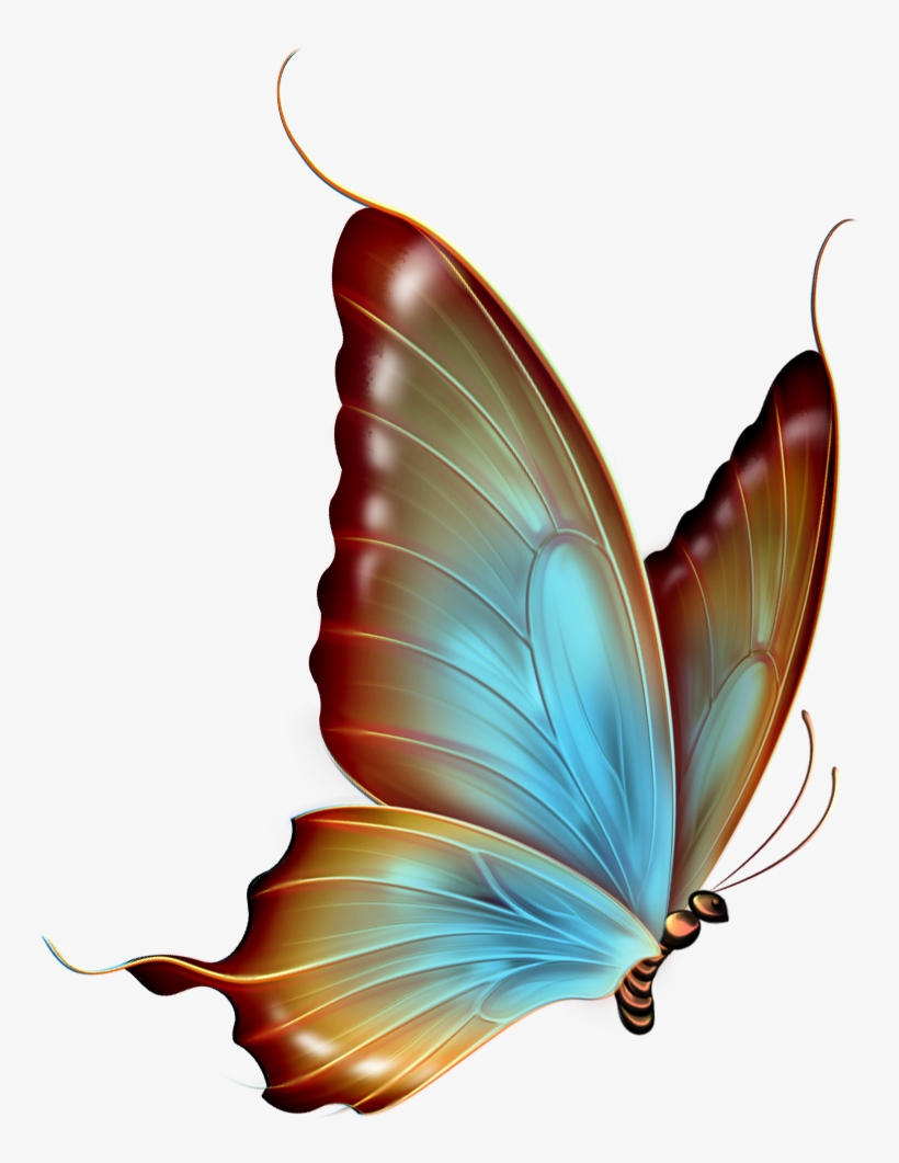 Detail Schmetterling Clipart Kostenlos Nomer 25