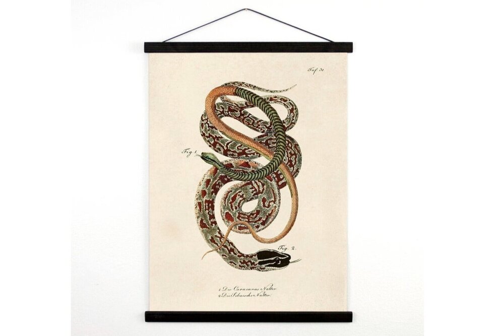 Detail Snake Ii Nomer 17