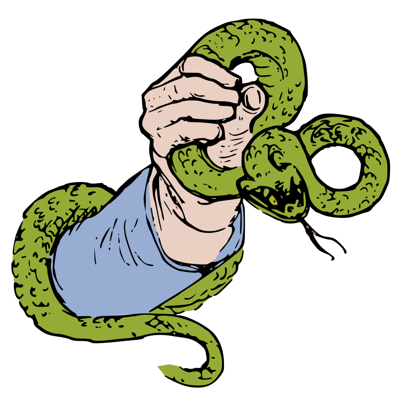 Detail Snake Ii Nomer 18