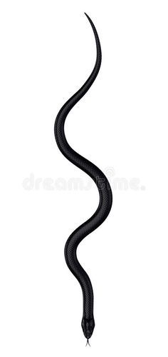 Detail Snake Ii Nomer 5