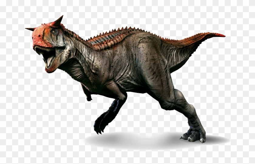 Detail Hd Dino Nomer 15