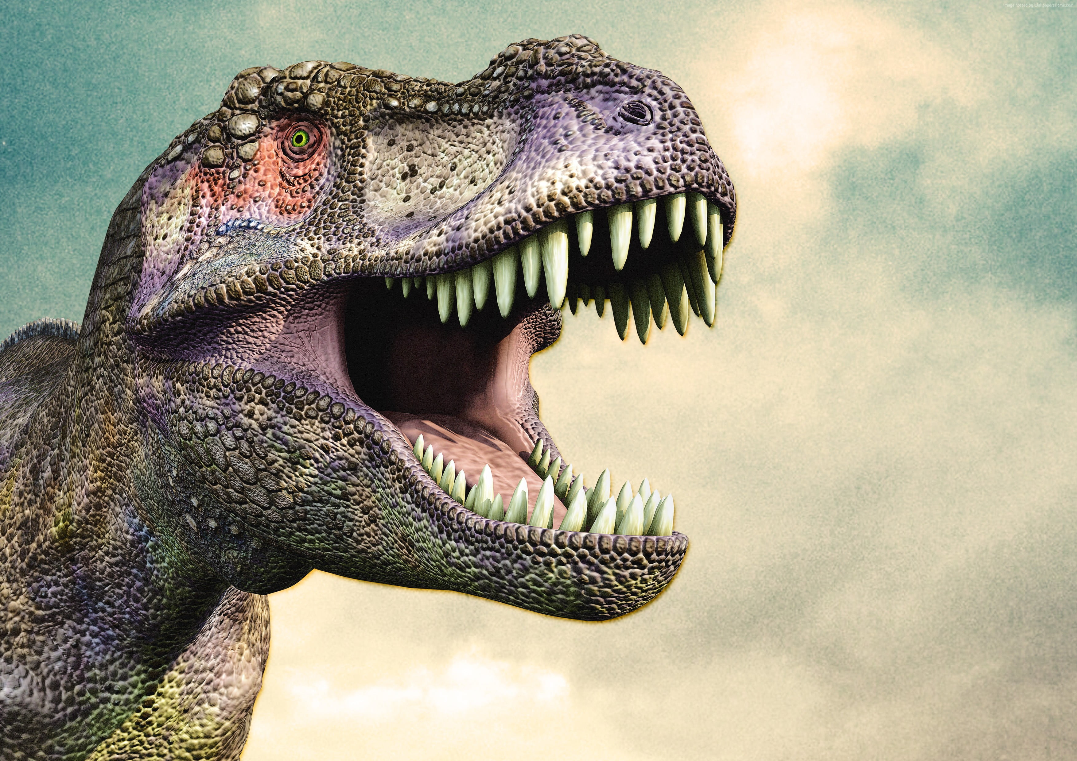 Detail Hd Dino Nomer 22