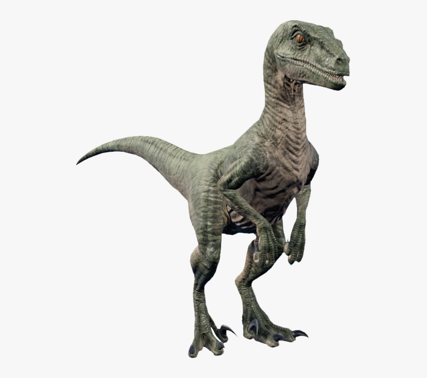 Detail Hd Dinosaur Nomer 26