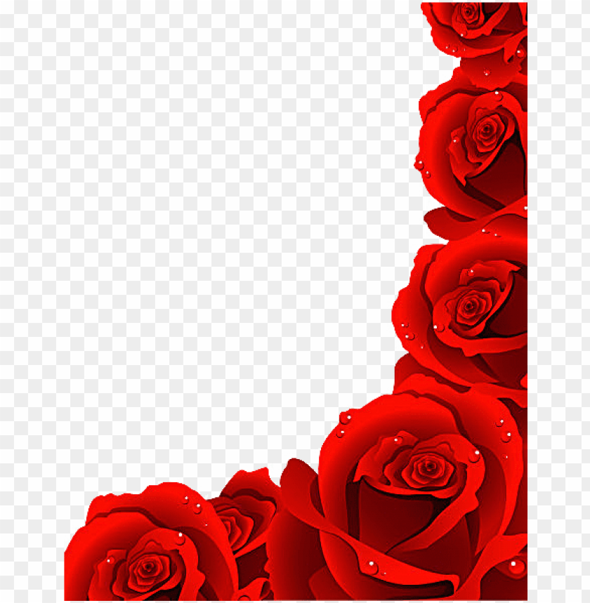 Detail Hd Images Rose Flowers Nomer 46