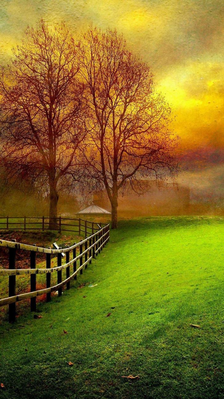 Detail Hd Nature Wallpaper Nomer 10