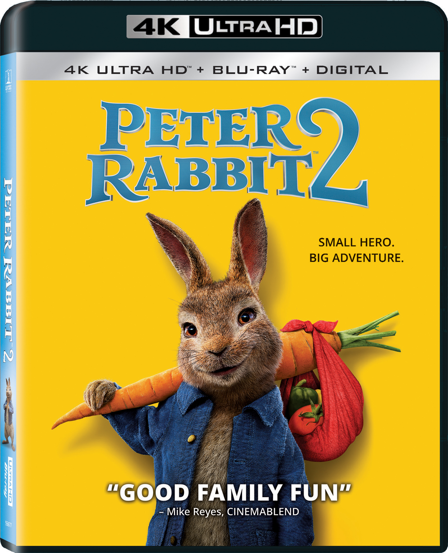Detail Hd Rabbit Nomer 25