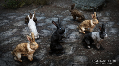 Detail Hd Rabbit Nomer 32