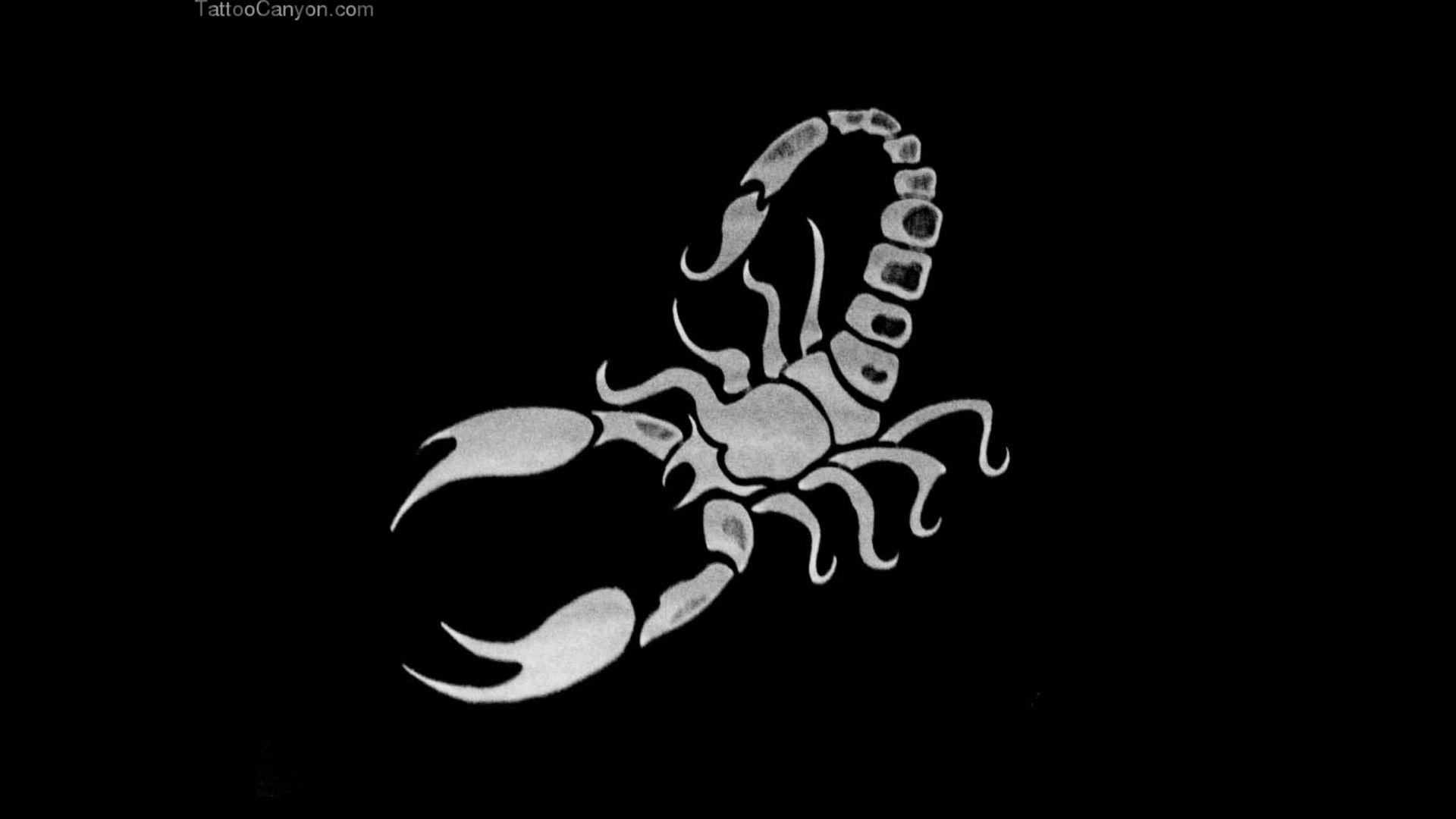 Detail Hd Scorpion Wallpapers Nomer 3