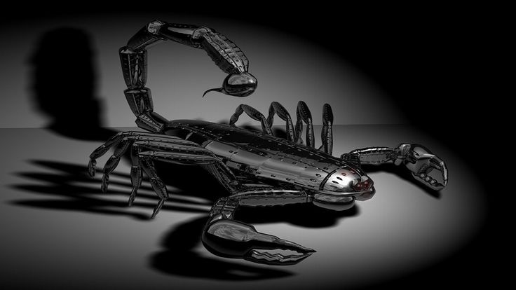 Detail Hd Scorpion Wallpapers Nomer 39