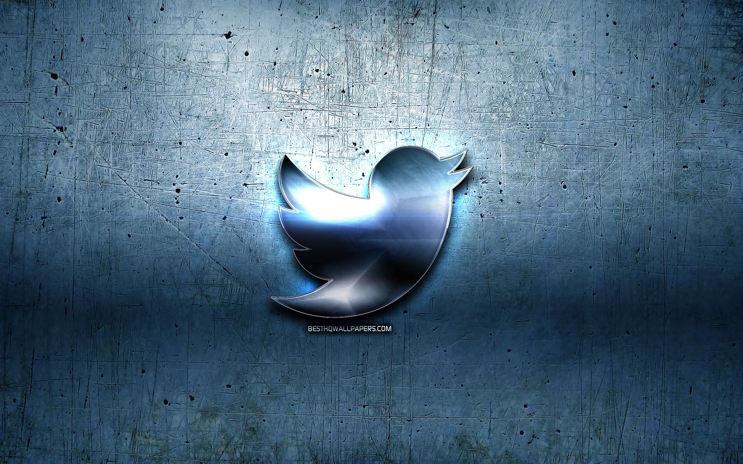 Detail Hd Twitter Logo Nomer 15