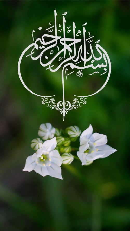 Detail Hd Wallpaper Islamic Nomer 42