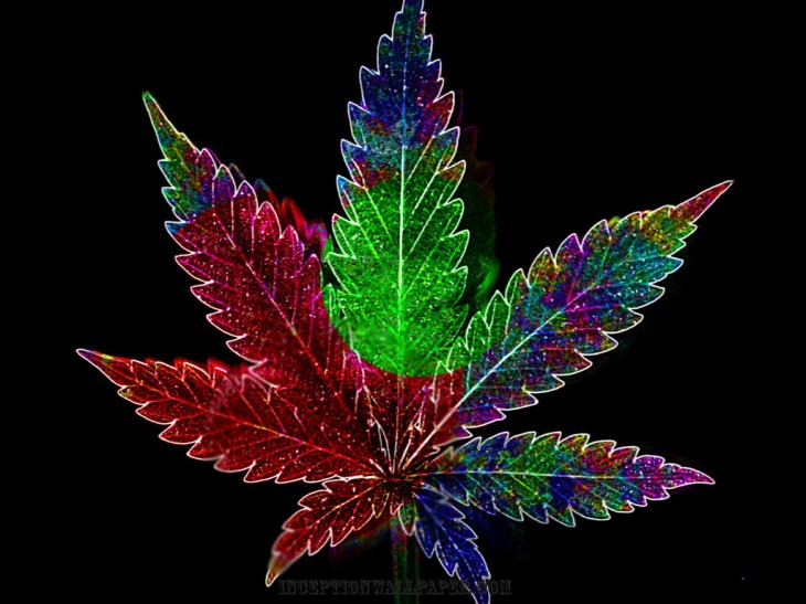 Detail Hd Wallpapers Weed Nomer 48