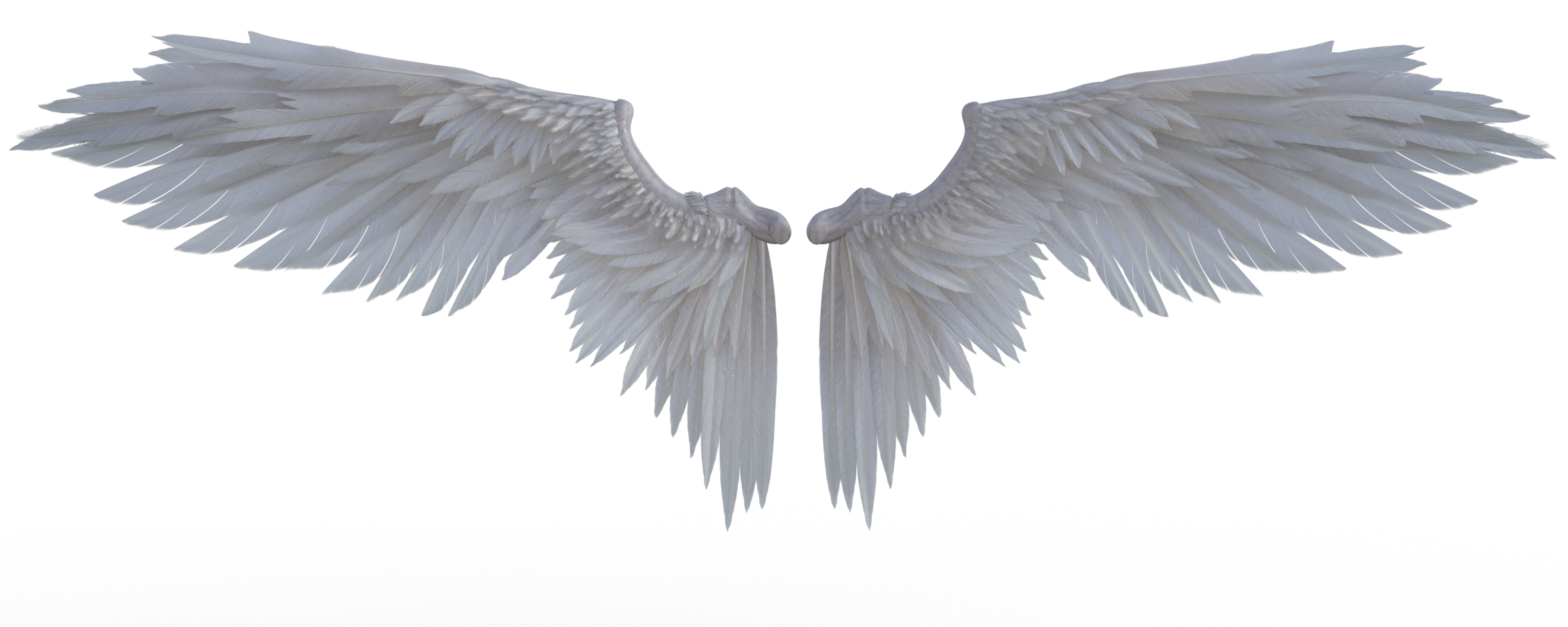 Hd Wings - KibrisPDR