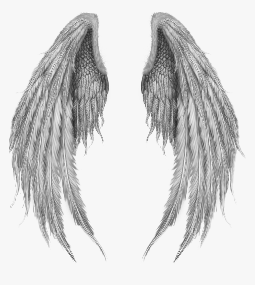 Detail Hd Wings Nomer 15