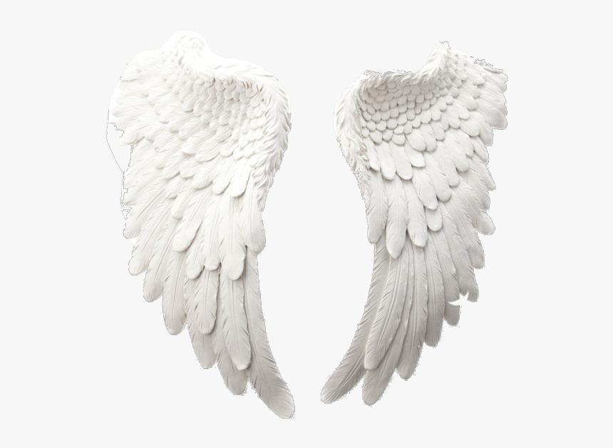 Detail Hd Wings Nomer 16