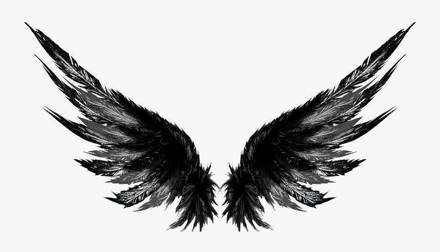 Detail Hd Wings Nomer 19