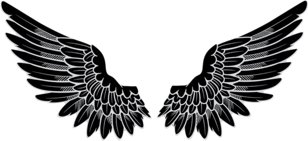 Detail Hd Wings Nomer 25