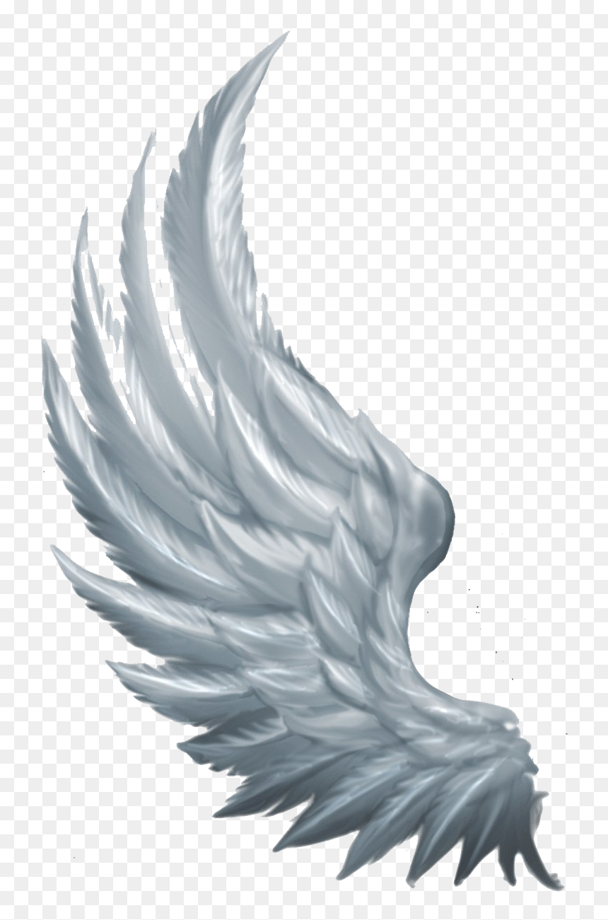 Detail Hd Wings Nomer 32