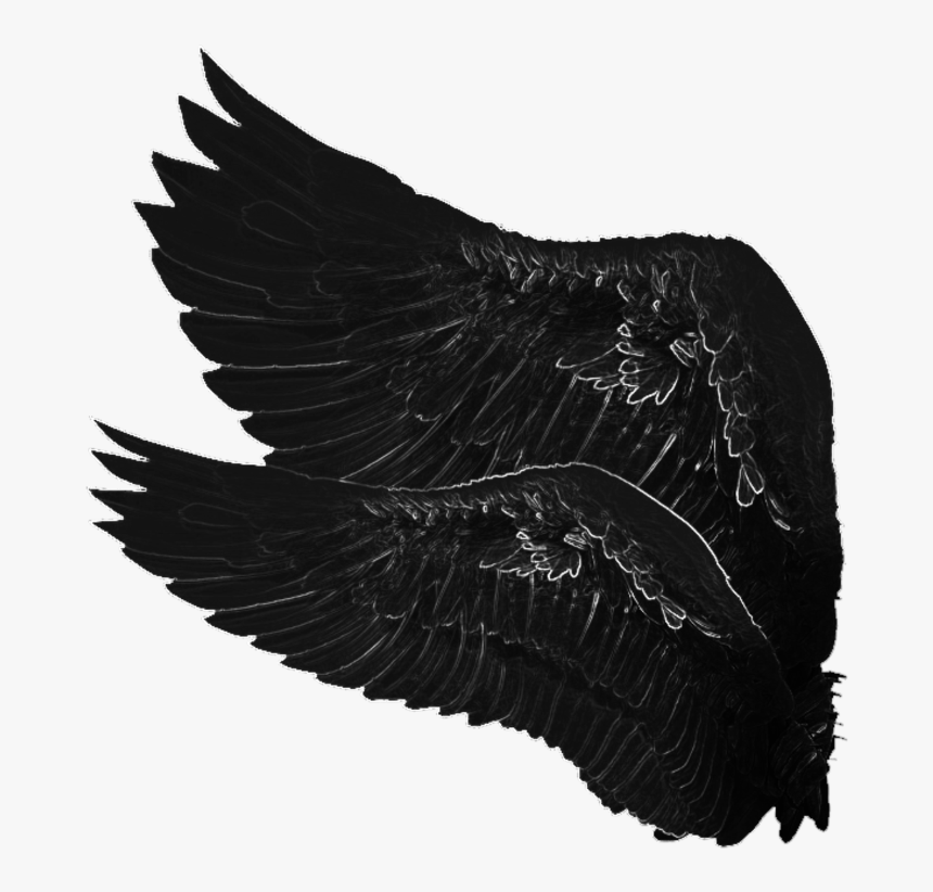 Detail Hd Wings Nomer 44
