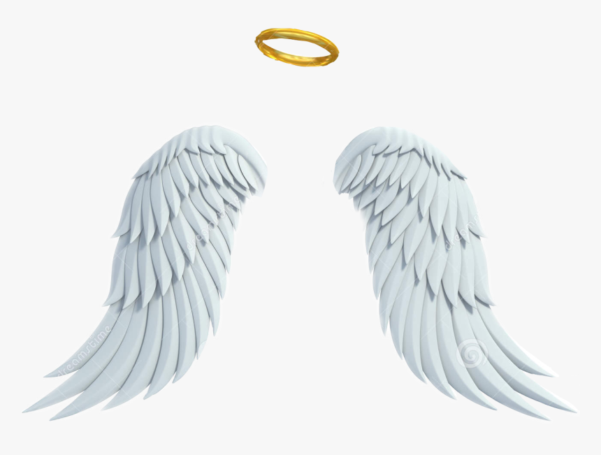 Detail Hd Wings Nomer 47
