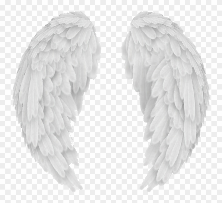 Detail Hd Wings Nomer 48