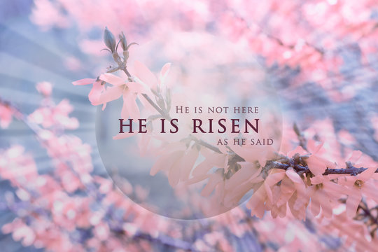 Detail He Is Risen Images Nomer 27