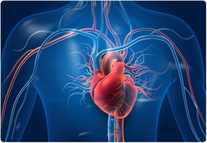 Detail Heart Image Nomer 17