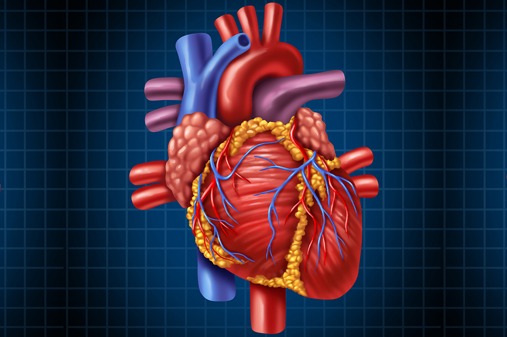 Detail Heart Image Nomer 20