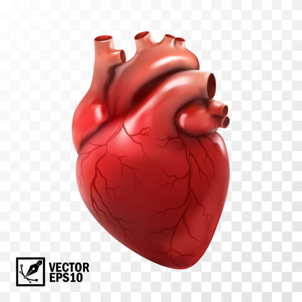Detail Heart Image Nomer 24